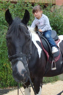 2008_Stra�enfest_Gro�bottwar_Reitverein-1