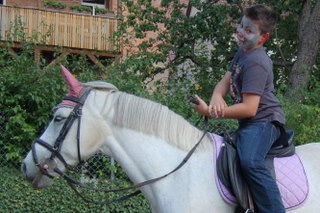 2008_Stra�enfest_Gro�bottwar_Reitverein-7