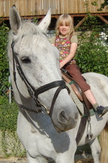 2008_Stra�enfest_Gro�bottwar_Reitverein-8