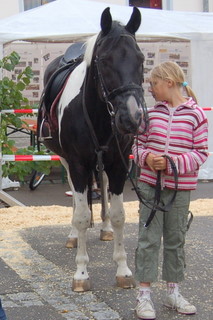 2008_Stra�enfest_Gro�bottwar_Reitverein-9