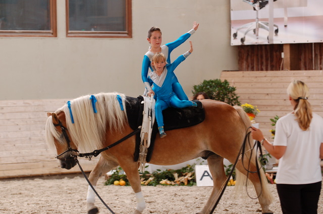 Volti-Turnier_2009-09-19_Reitverein-Bottwartal_-270