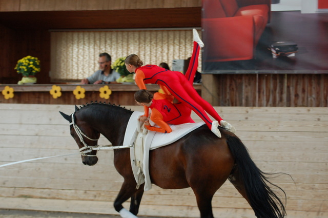 Volti-Turnier_2009-09-19_Reitverein-Bottwartal_-50