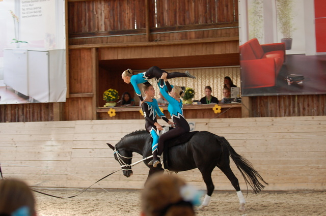 Volti-Turnier_2009-09-19_Reitverein-Bottwartal_0421