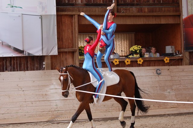 Volti-Turnier_2009-09-19_Reitverein-Bottwartal_0464