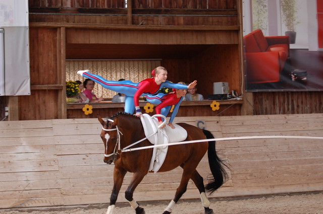 Volti-Turnier_2009-09-19_Reitverein-Bottwartal_0467