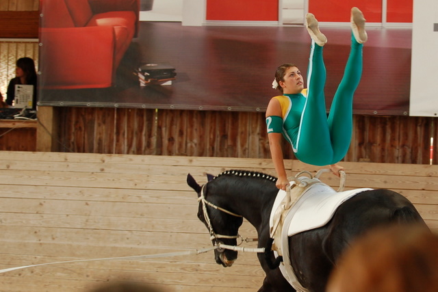 Volti-Turnier_2009-09-19_Reitverein-Bottwartal_0507