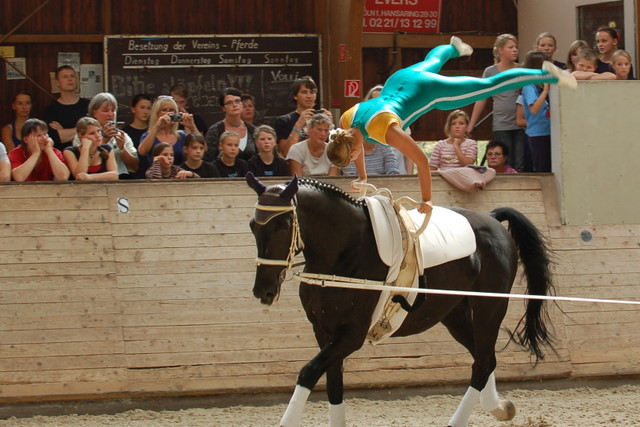 Volti-Turnier_2009-09-19_Reitverein-Bottwartal_0520
