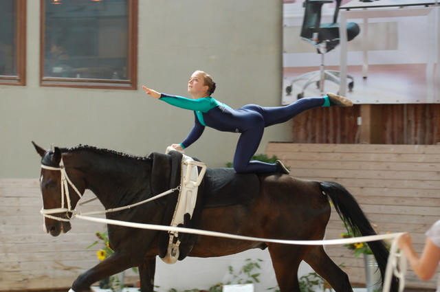 Volti-Turnier_2009-09-19_Reitverein-Bottwartal_0567