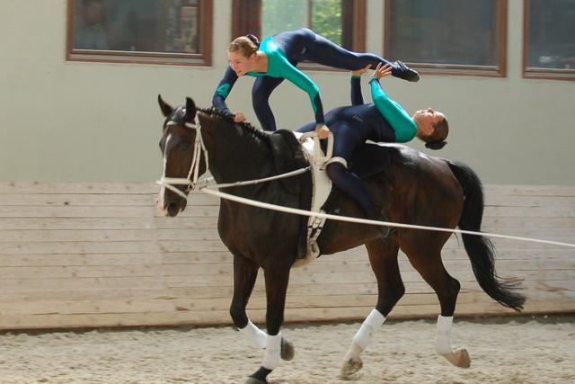 Volti-Turnier_2009-09-19_Reitverein-Bottwartal_0587