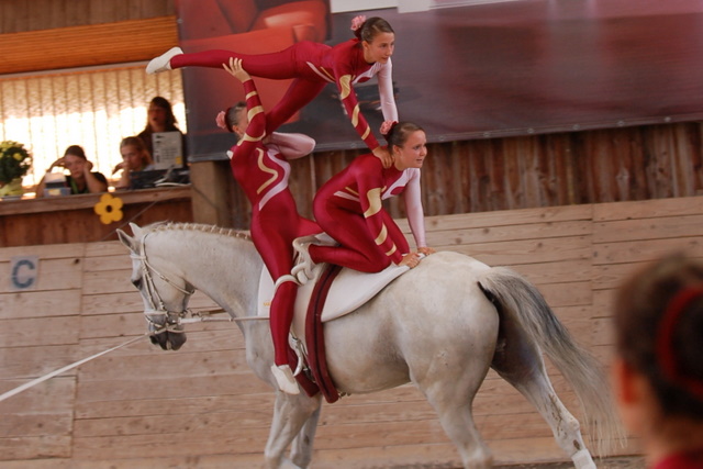 Volti-Turnier_2009-09-19_Reitverein-Bottwartal_0629