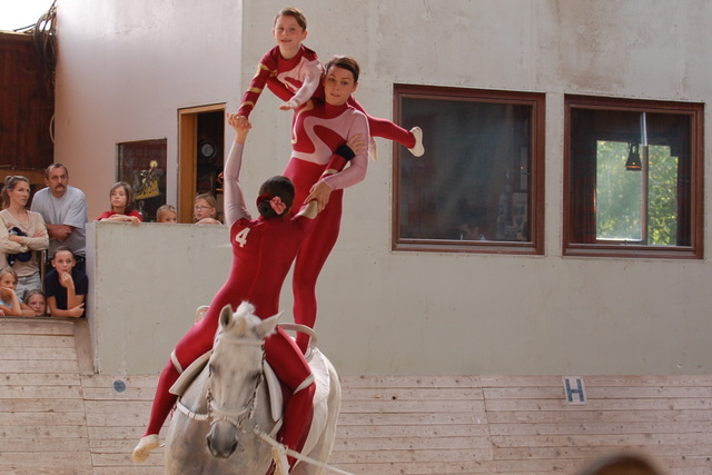 Volti-Turnier_2009-09-19_Reitverein-Bottwartal_0643