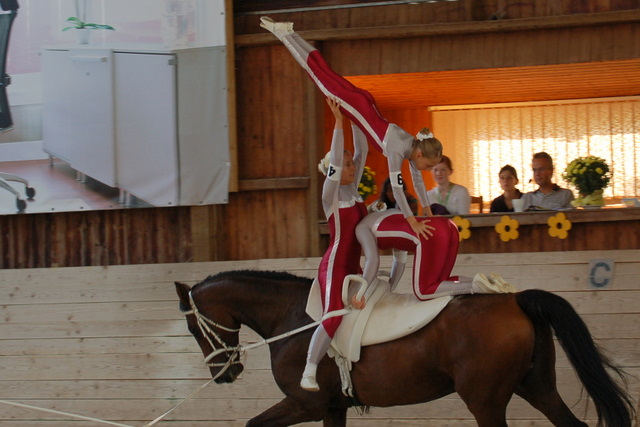Volti-Turnier_2009-09-19_Reitverein-Bottwartal_0693