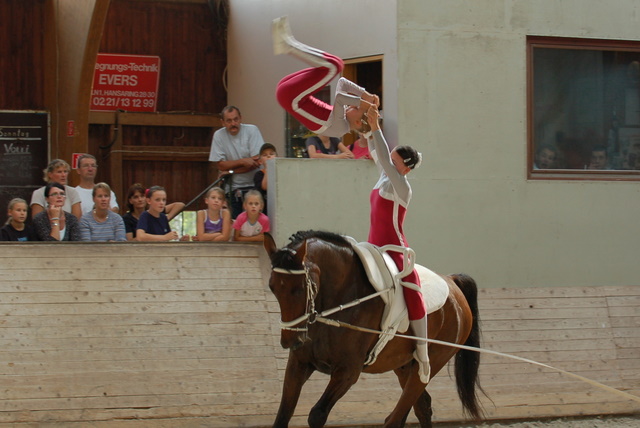 Volti-Turnier_2009-09-19_Reitverein-Bottwartal_0705