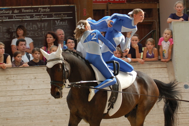 Volti-Turnier_2009-09-19_Reitverein-Bottwartal_0728