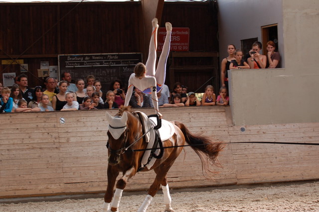 Volti-Turnier_2009-09-19_Reitverein-Bottwartal_0752