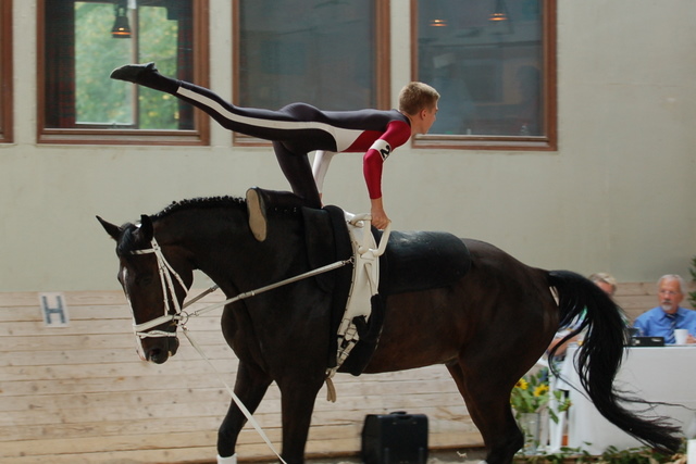 Volti-Turnier_2009-09-19_Reitverein-Bottwartal_0842