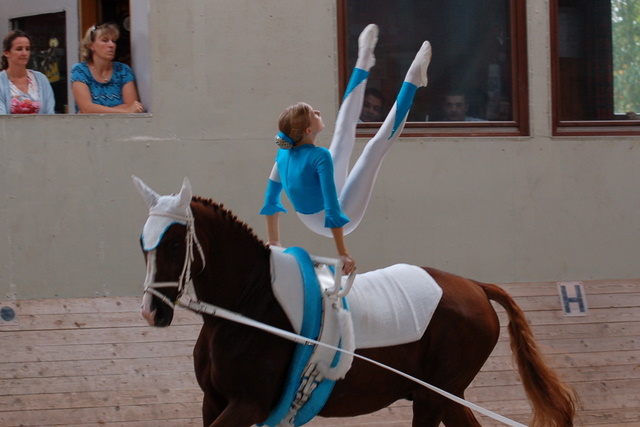 Volti-Turnier_2009-09-19_Reitverein-Bottwartal_0867