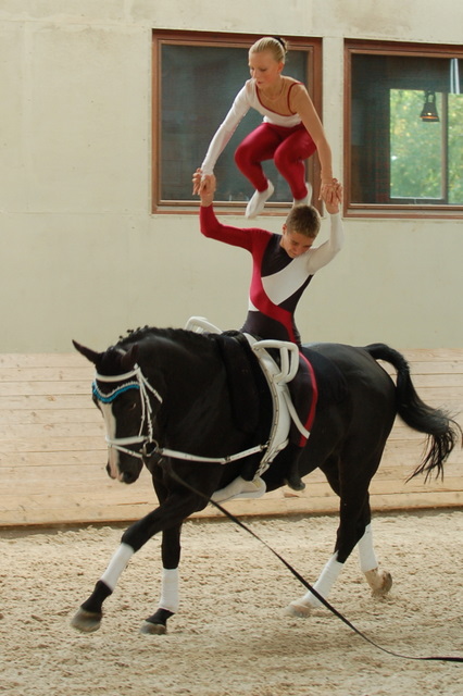 Volti-Turnier_2009-09-19_Reitverein-Bottwartal_0907