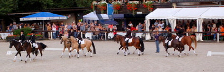 2007-07-29_Showauftritt_Ponyquadrillie_DSC_9070 2007-07-29_Showauftritt_Ponyquadrillie_DSC_9070