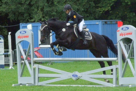 2008-09-05_Meisenheim_DSCF4656