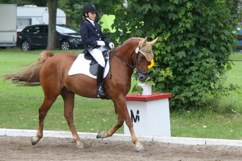 2008-09-05_Meisenheim_IMG_0992