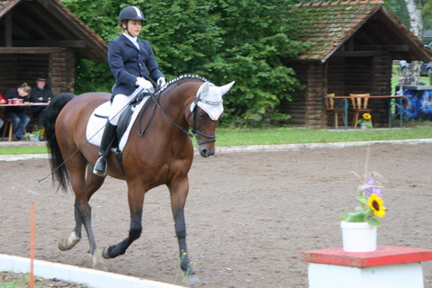 2008-09-05_Meisenheim_IMG_1061