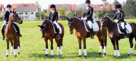 2008-5_B�hl_DSCF3510