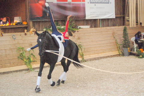 2008-9_Voltiturnier_Gro�bottwar_DSC_4627