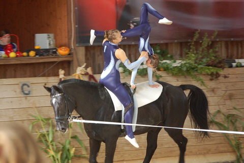 2008-9_Voltiturnier_Gro�bottwar_DSC_4655