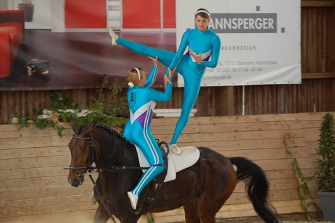 2008-9_Voltiturnier_Gro�bottwar_DSC_4674