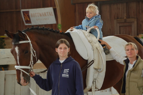 2008-9_Voltiturnier_Gro�bottwar_DSC_4729