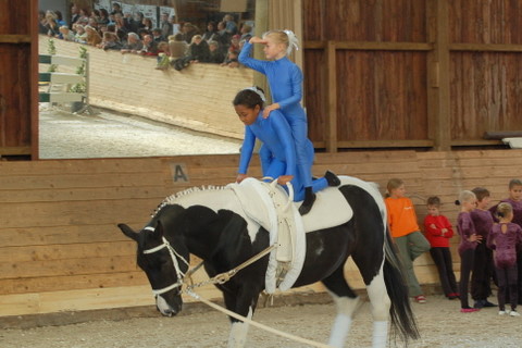 2008-9_Voltiturnier_Gro�bottwar_DSC_4731