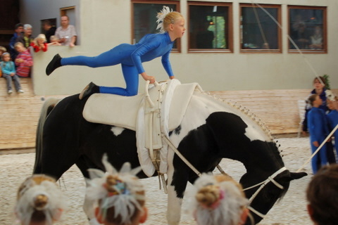 2008-9_Voltiturnier_Gro�bottwar_DSC_4739