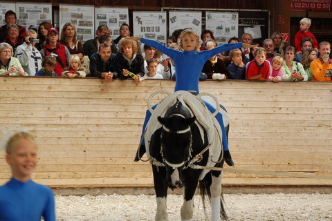 2008-9_Voltiturnier_Gro�bottwar_DSC_4740