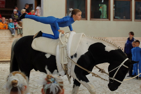 2008-9_Voltiturnier_Gro�bottwar_DSC_4742