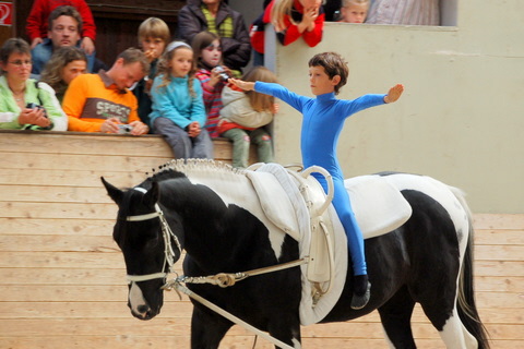 2008-9_Voltiturnier_Gro�bottwar_DSC_4743