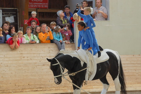 2008-9_Voltiturnier_Gro�bottwar_DSC_4753