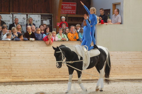 2008-9_Voltiturnier_Gro�bottwar_DSC_4756