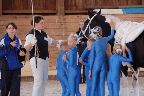 2008-9_Voltiturnier_Gro�bottwar_DSC_4764