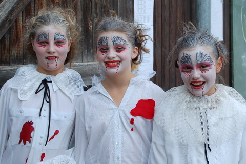 2008-9_Voltiturnier_Gro�bottwar_DSC_4782