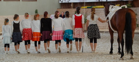 2008-9_Voltiturnier_Gro�bottwar_DSC_4791