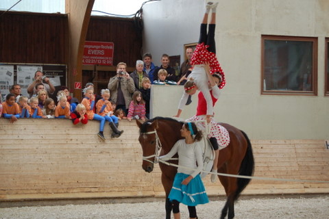 2008-9_Voltiturnier_Gro�bottwar_DSC_4797