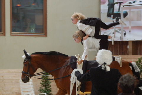 2008-9_Voltiturnier_Gro�bottwar_DSC_4808