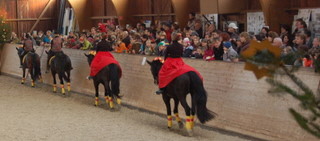 2008_Weihnachtsreiten_RFV_Bottwartal-44