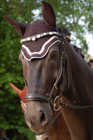 2009-05_T�bingen_B�hl_bw_Quadrillenmeisterschaften__0188