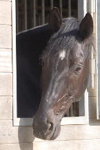 Gregor_DSC_1687 Gregor_DSC_1687