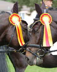 Quadrillenchampionat_2007_Teningen_1_DSC_8598